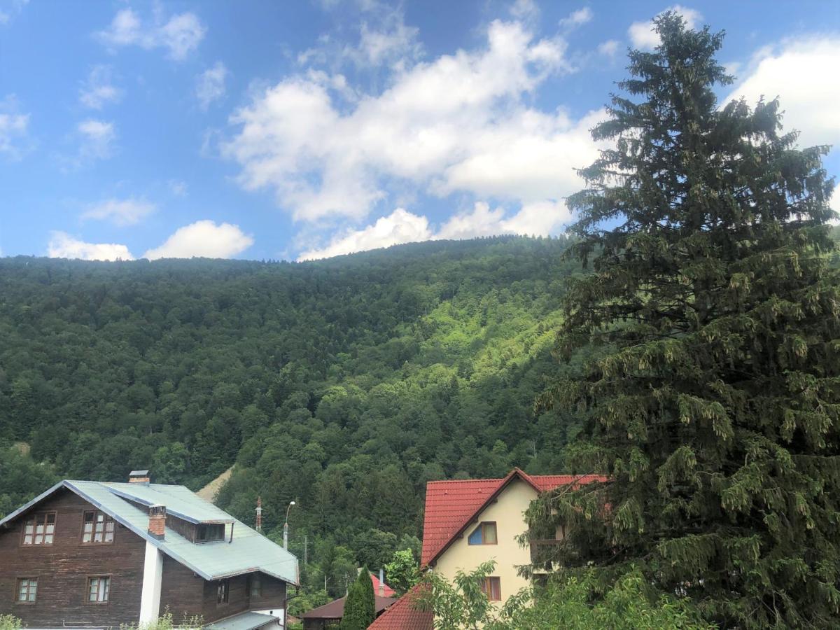 Holiday Home In Sinaia Ngoại thất bức ảnh