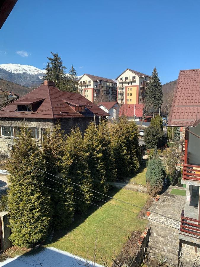 Holiday Home In Sinaia Ngoại thất bức ảnh