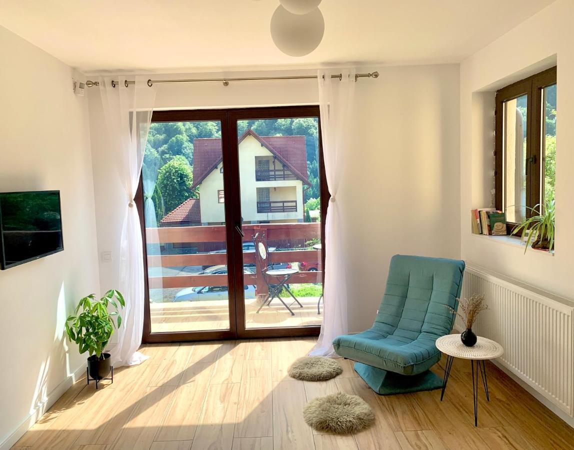 Holiday Home In Sinaia Ngoại thất bức ảnh